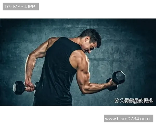 提升力量与健康：从基础训练到高效健身计划全攻略