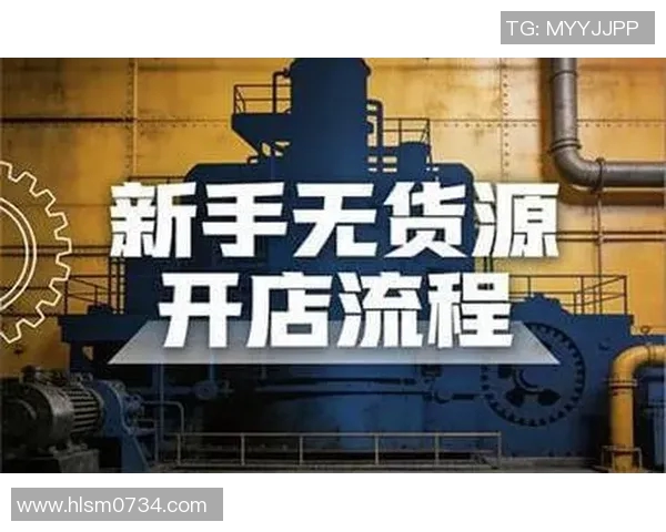 无货源跨境电商模式解析与实践技巧分享助力创业者成功起步